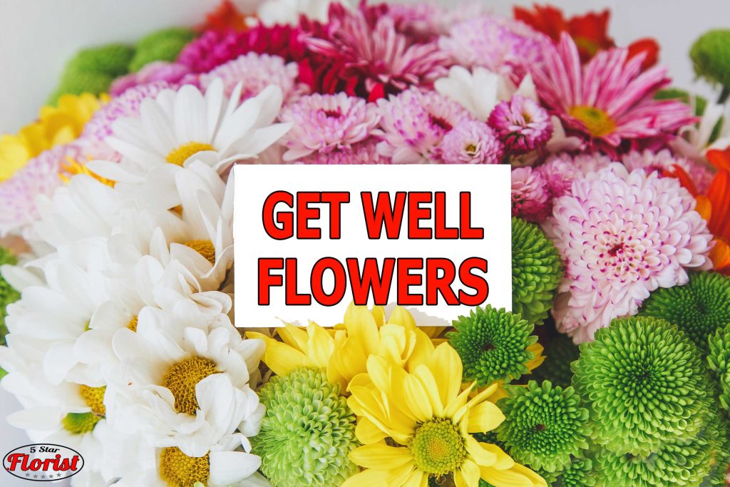 get well flowers New Haven