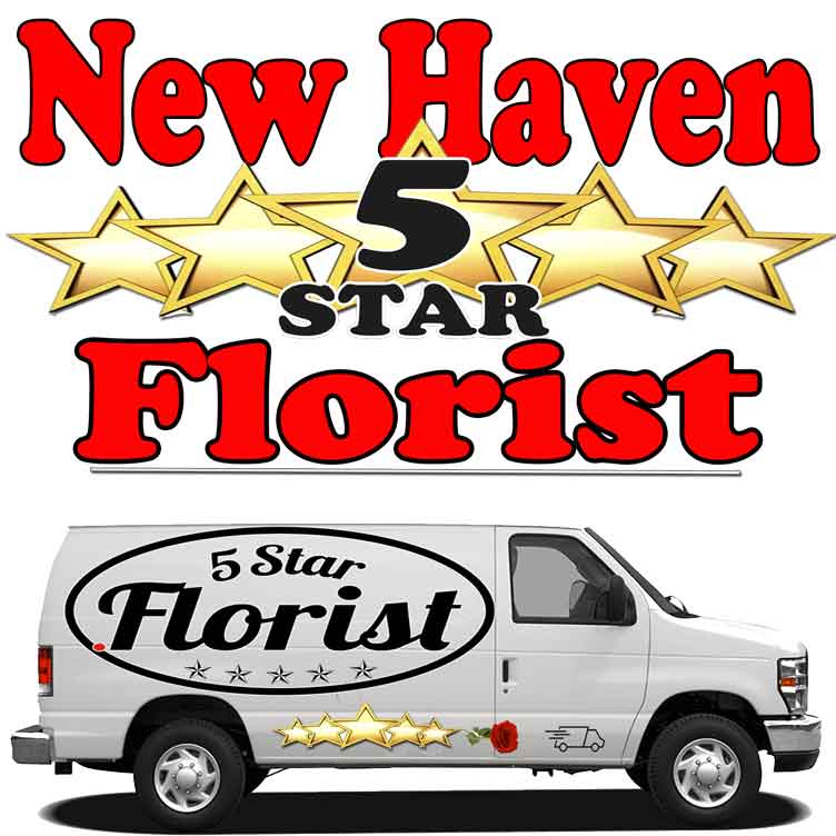 new-haven florist