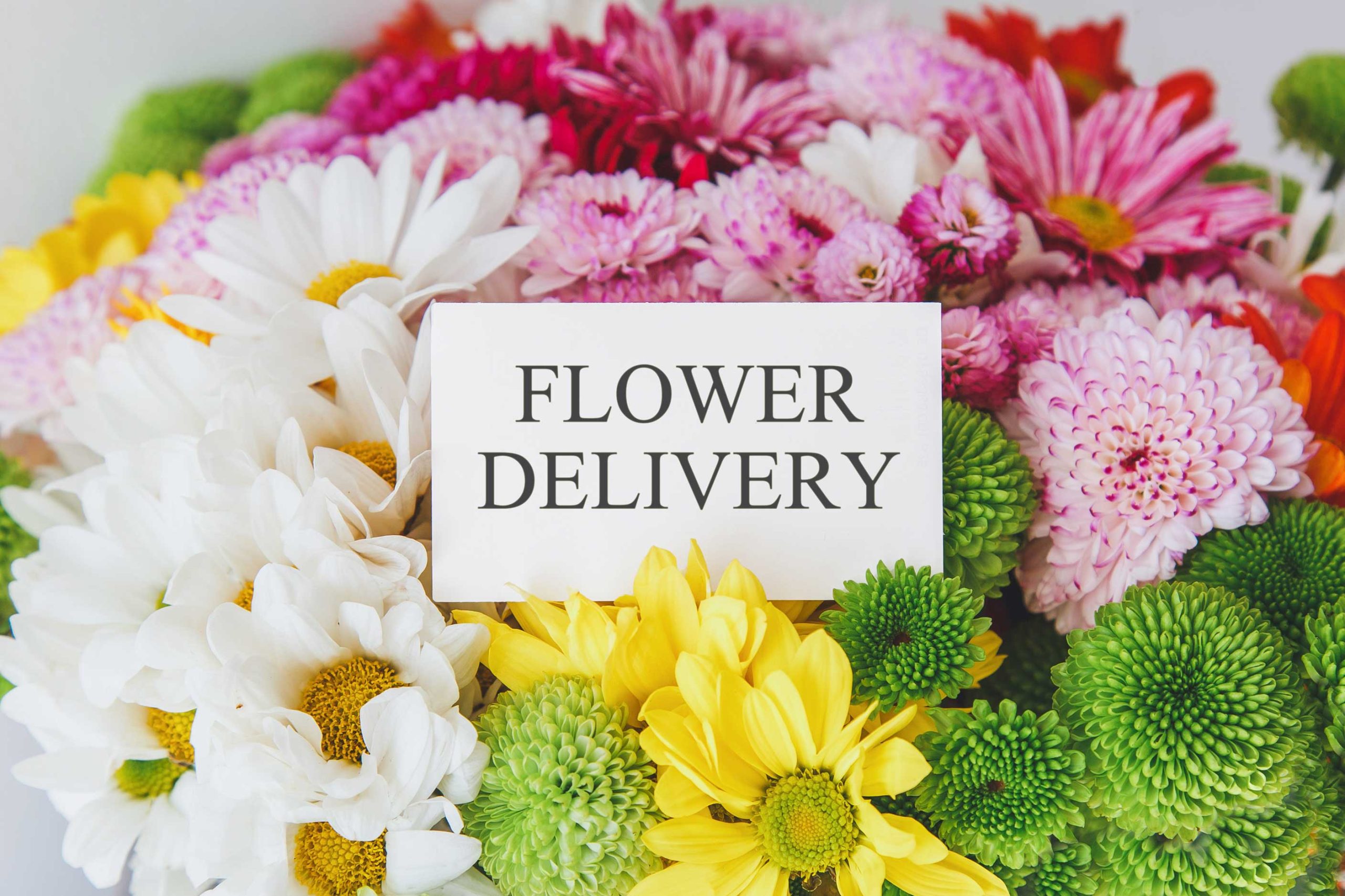 same-day-flower-delivery- New Haven